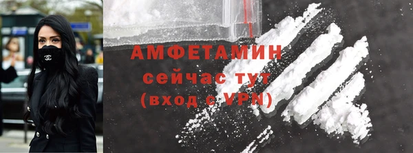 дживик Бородино