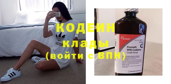 дживик Бородино