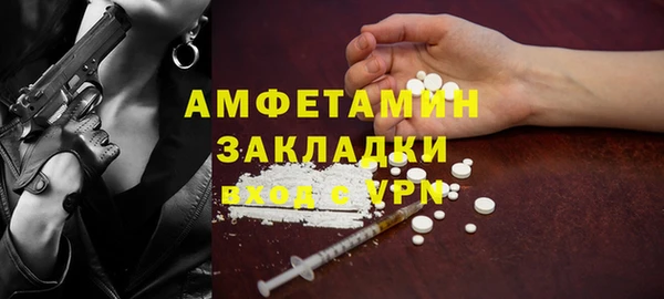 дживик Бородино