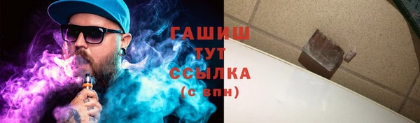 дживик Бородино