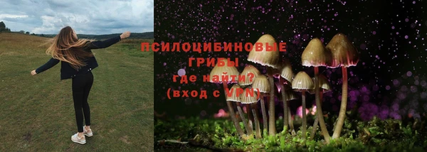 дживик Бородино