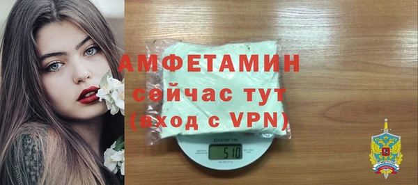 дживик Бородино