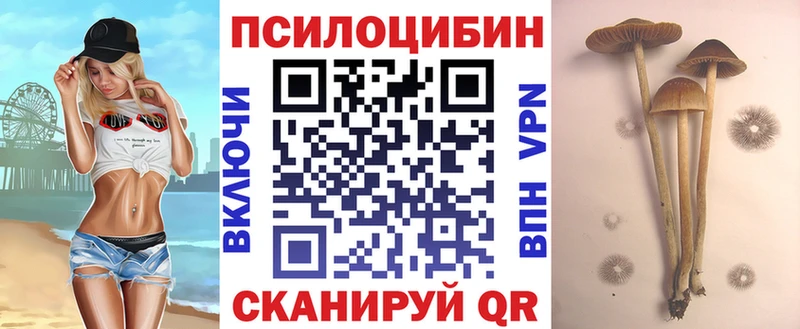 Псилоцибиновые грибы ЛСД Смоленск